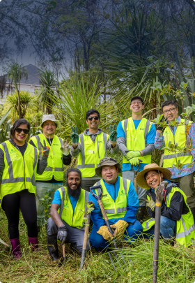 Image of workers doing their part and caring for nature as they garden and take care of the New Zealand bushland