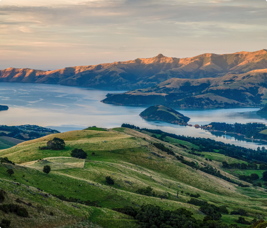 Image of a Canterbury landscape