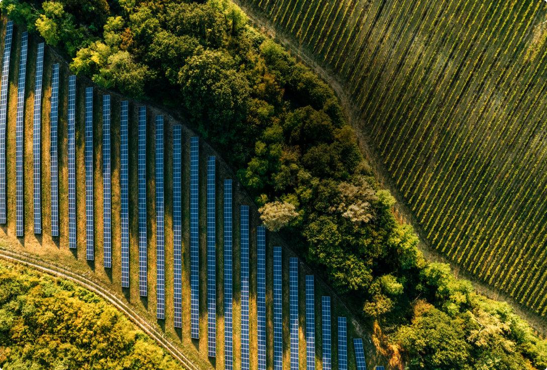 Aerial shot of a solar farm showing rows of solar panels